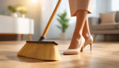 Domestic cleaning product example